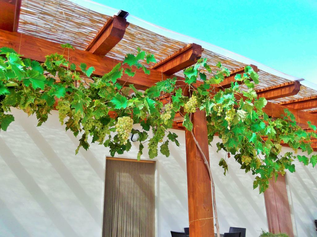 Red Rose B&B Martina Franca Exterior photo